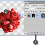 Adobe Potoshop layer mask with selections